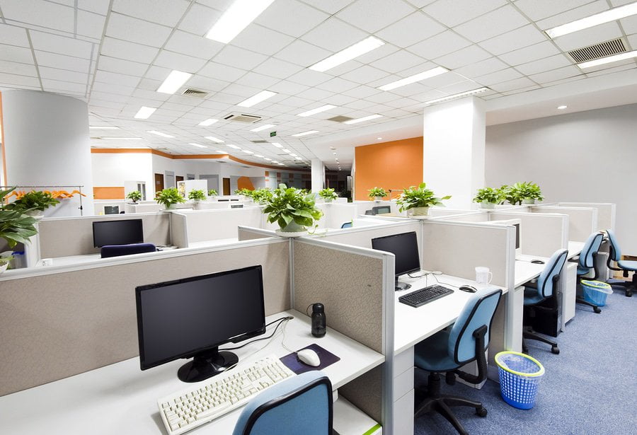 Plants that were intentionally brought to the office to increase employee happiness