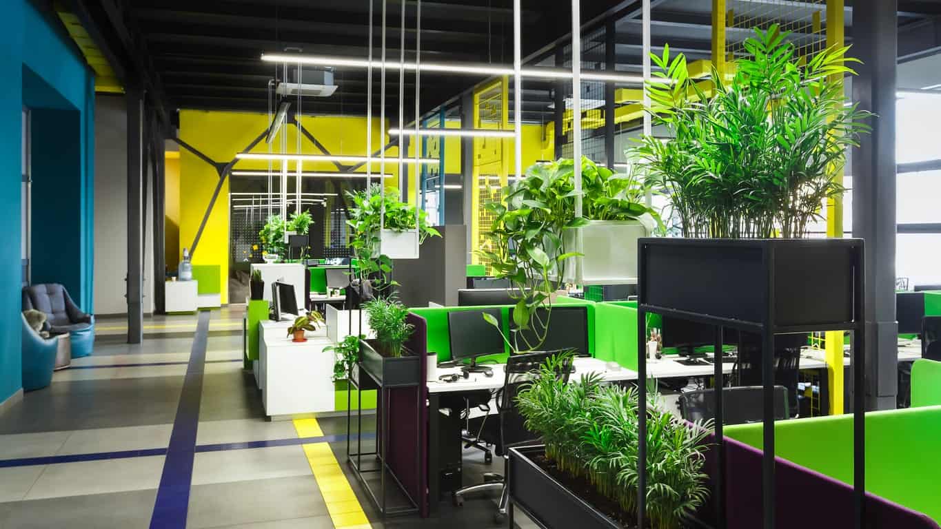 Biophilic Modern Office Design