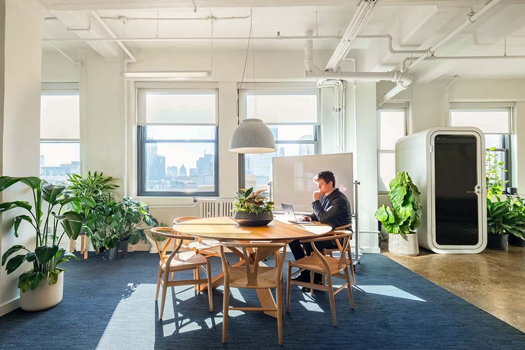 Collaberative area with a staff member working on their laptop, bright room with lots of sunlight 