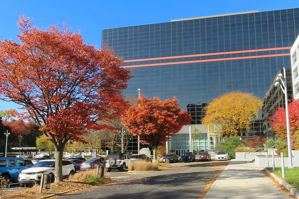 Ri's exterior office image 2020's